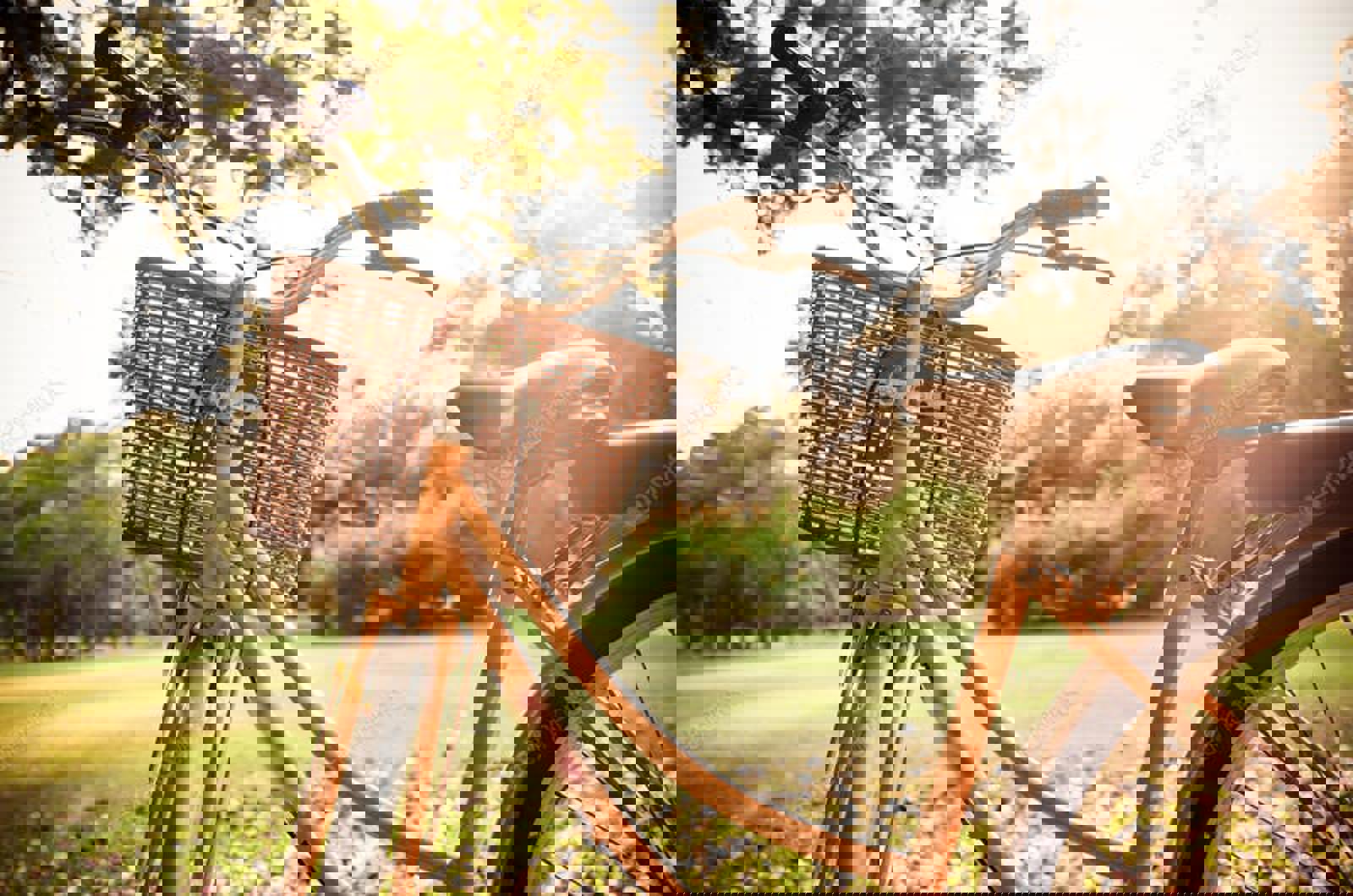 Classic Bicycle at sunset in the park